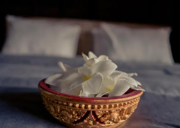 Rural Atmosphere At Bali Coconut House In Delodsema Village