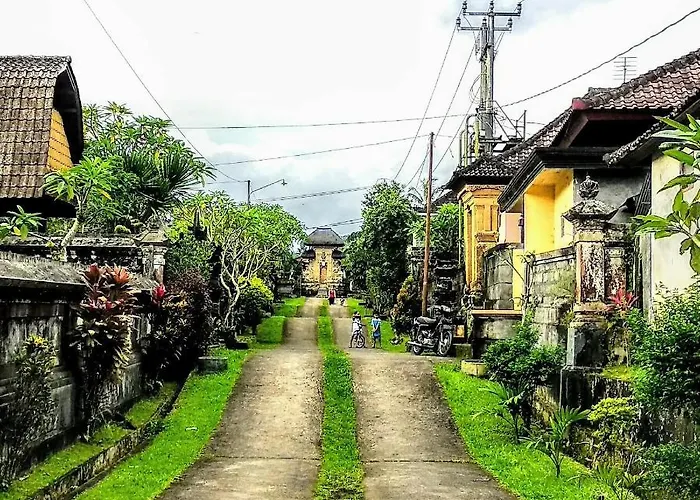 Séjour chez l'habitant Rural Atmosphere At Bali Coconut House In Delodsema Village