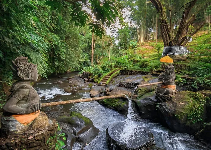 Rural Atmosphere At Bali Coconut House In Delodsema Village